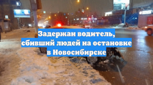Задержан водитель, сбивший людей на остановке в Новосибирске