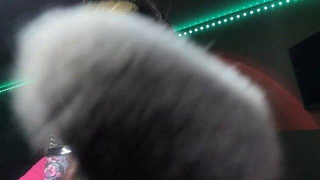 АСМР поцелуи, звуки рта, неразборчивый шепот  ASMR Kisses, Mouth Sounds And Unintelligible Whisper