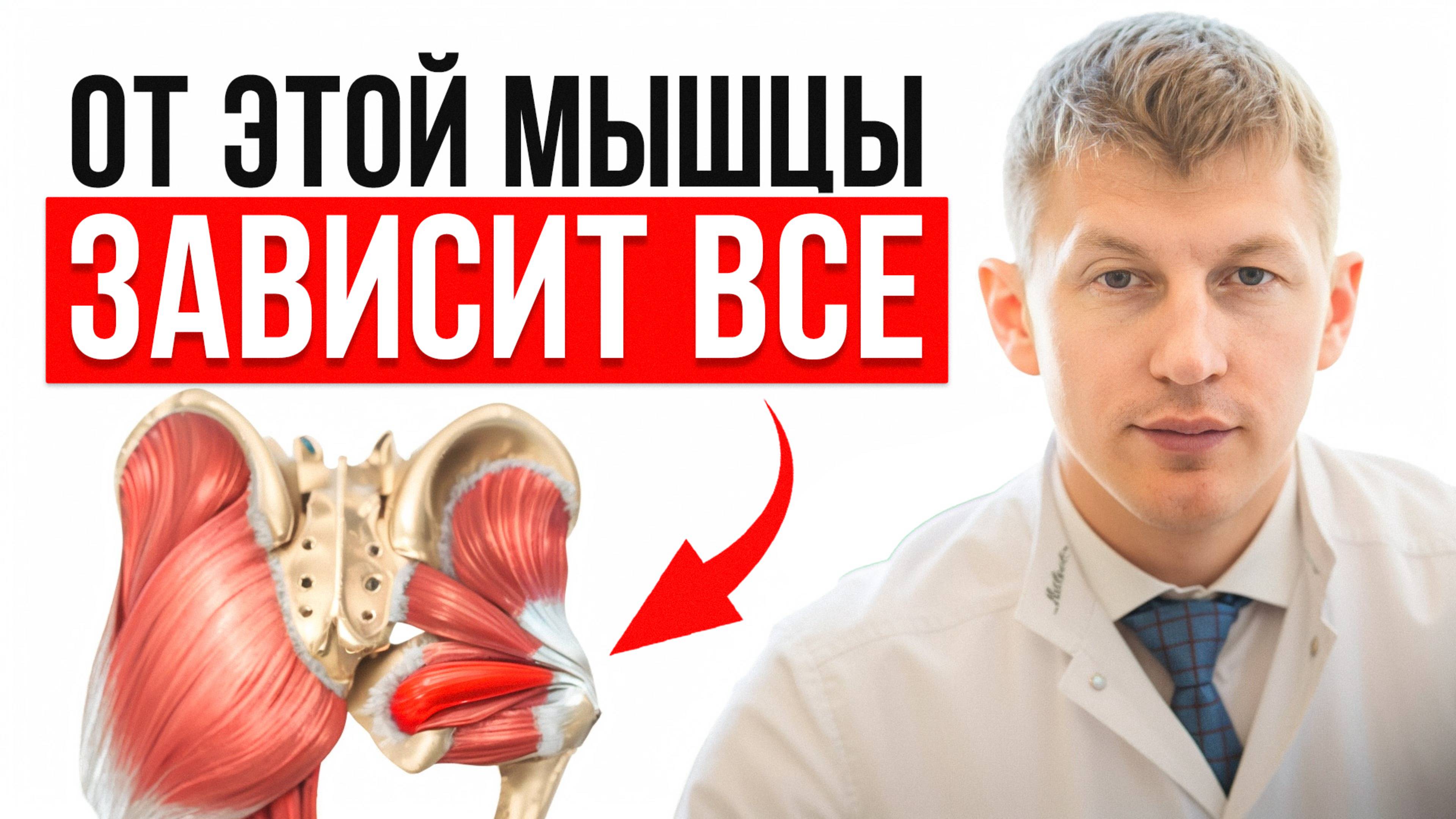 Спазм этой мышцы ведет к недержанию мочи и выпирающему животу! / Простой комплекс упражнений