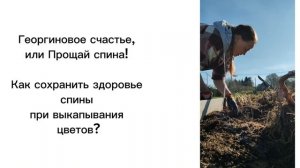 Георгиновое счастье, или Прощай, спина!