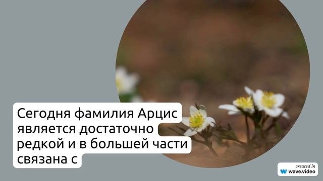 Изучаем происхождение, историю и значение фамилии Арцис: полное склонение и эксклюзивные факты
