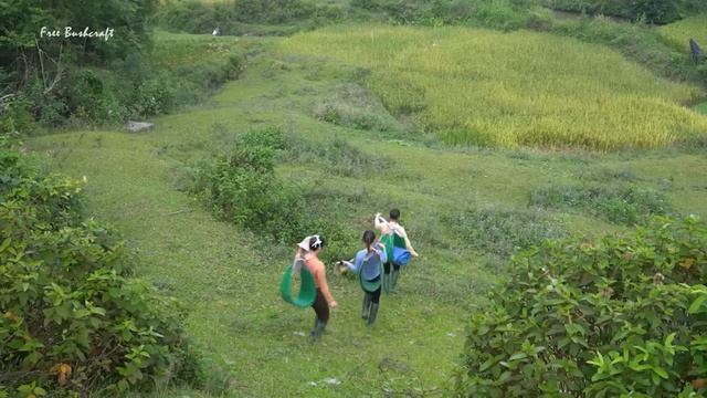 Harvesting Kohlrabi & Cauliflower Go To Market Sell - Braised Fish Star Fruit | Tiểu Vân Daily Life