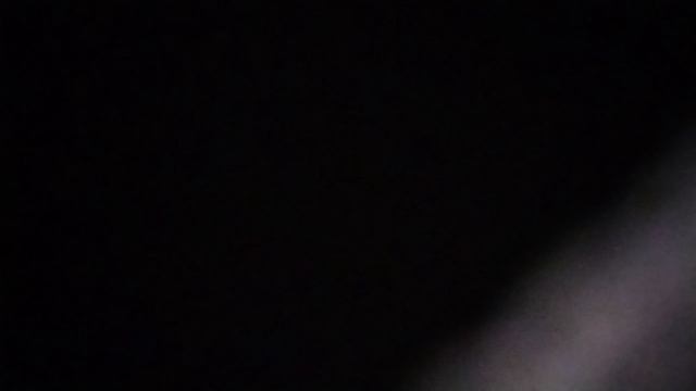 То не ветер ветку клонит