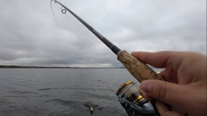 Трудовая Рыбалка на оз.Вселуг | Рыбалка в Тверской Области