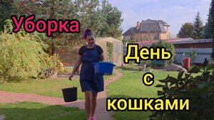 🏡 Жизнь в деревне 9 октября 2025