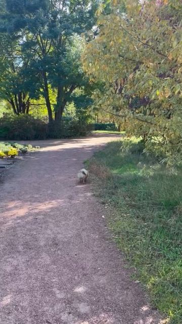 Красота какая 💖💖💖