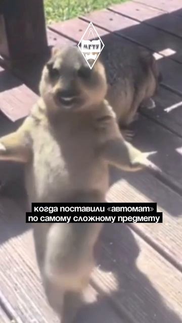 Танцуем от счастья!