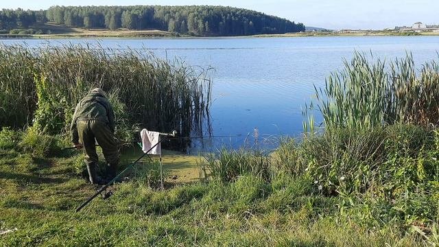 Карась на поплавок,прелестно.(август 2025)