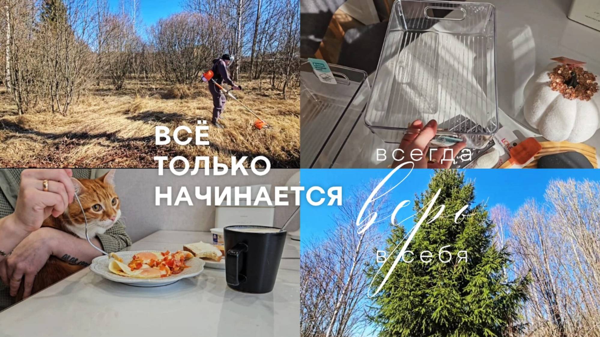 Мы купили земельный участок | Начинаем строительство дома | Завтрак с Зефиркой | Покупки из FixPrice