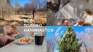 Мы купили земельный участок | Начинаем строительство дома | Завтрак с Зефиркой | Покупки из FixPrice