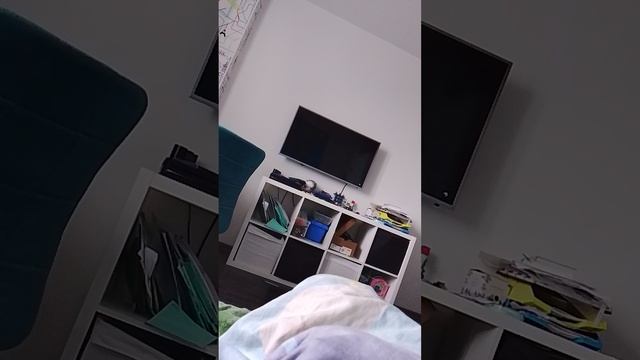 показал как включить режим режисёра
