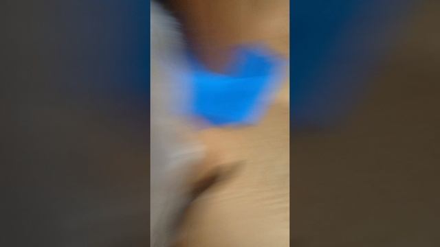 это мой кот