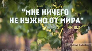 "Мне ничего не нужно от мира" Павел Волков | 05.10.2025