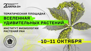 «Вселенная удивительных растений» — Наука 0+ 2025 (день 2)