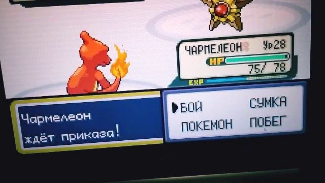 покемон часть 2