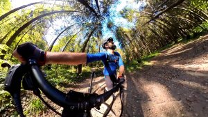 На велике по беговому трейлу 21 км Дубки