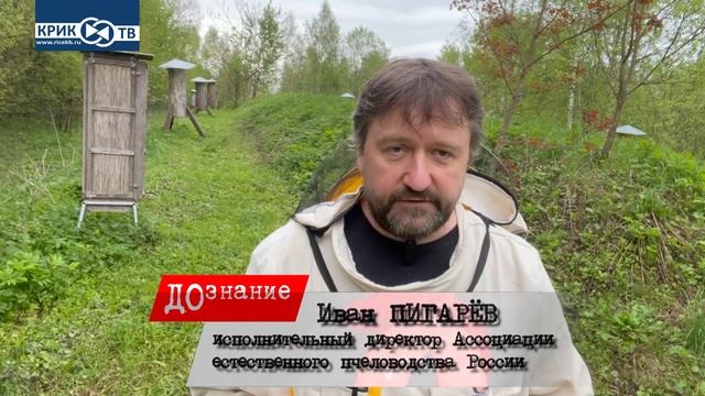 Дознание. Смертные грехи пчеломоров | КРИК-ТВ