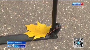 Традиционный осенний месячник благоустройства стартовал в Нижнем Новгороде