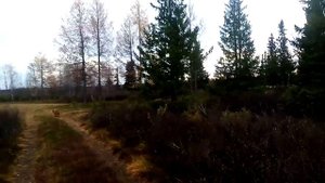 VID_20251008_152002.3gp