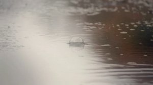 002.Шëпот дождя-Н.Чиляков.mp4