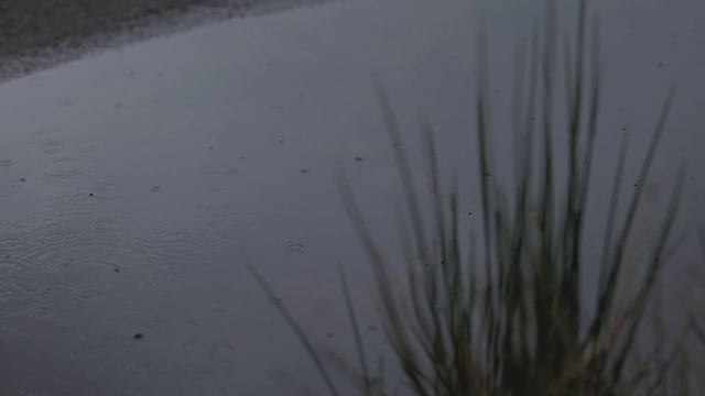 53. Кемпинг в дождливом лесу (АСМР) от Go4x4