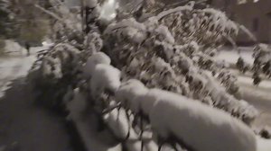 10 отября 2025 в Омске