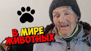МОЖЕТ ПОРА ОСТАНОВИТСЯ В ПОГОЛОВЬЕ