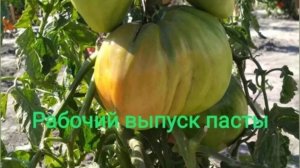 Вкус настоящего лета