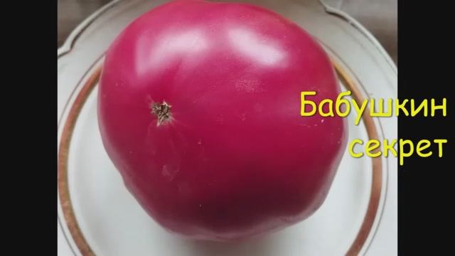 Крупноплодные сорта томатов.