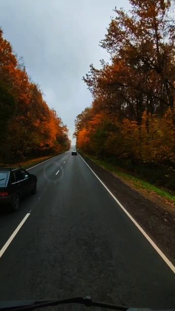 Рабочие вайбы водитель грузовик дорога работа авто автомобиль дальнобойщик