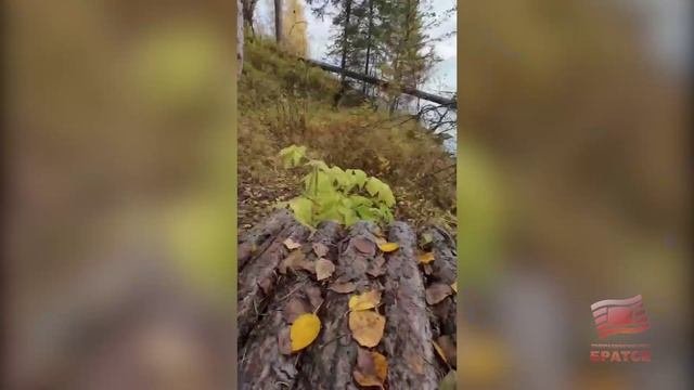 Трейлраннеры Братска вновь выходят на старт