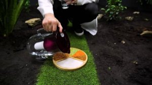 ПОСАДИЛ 10 000 СВЕРЧКОВ В КОМНАТУ?