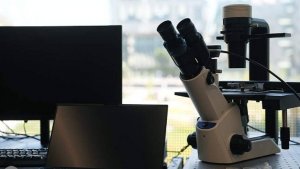 Постпред РФ в Женеве рассказал об изменении подхода США к изучению опасных патогенов