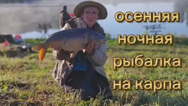 Осенняя ночная рыбалка на карпа.
