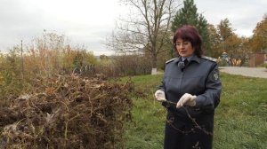 Экспертное мнение. Выпуск 135.