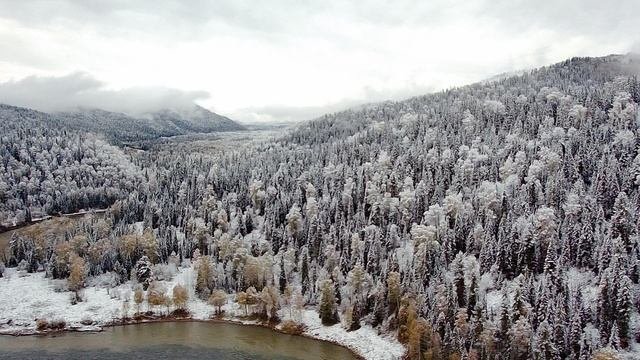 Бия в районе Усть-Пыжи
