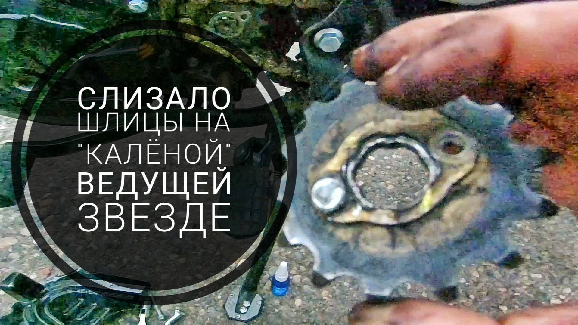 Racer Triumph слизало шлицы на ведущей 14 зубой звезде Отзыв о цепи SFR-HO
