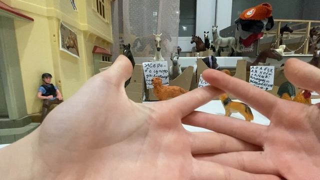 Рассказываю о себе .🐎🐎🐎
