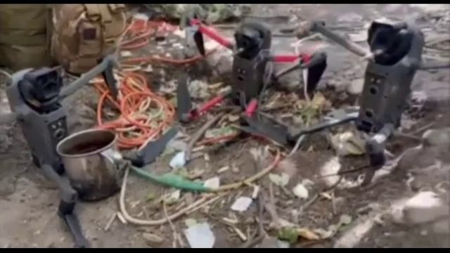 Опять вундервафля? Скоко будет стоить и кому позолотит лапу..?
