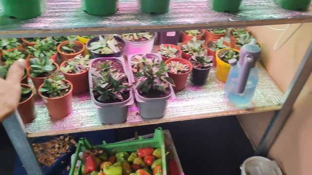 Приехали подарочки🤗