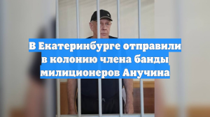 В Екатеринбурге отправили в колонию члена банды милиционеров Анучина