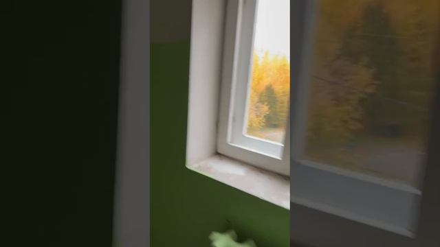 WhatsApp Video 2025-10-10 At 16.49.07
