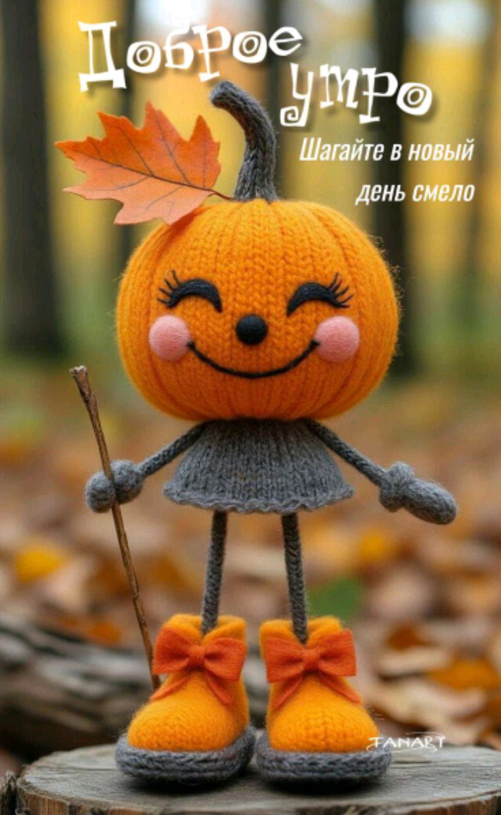 мир добра