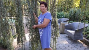 Наслаждаемся отдыхом в санатории «Одиссея» Лазаревское Сочи