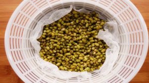 Салат с пророщенным машем