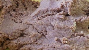 Новогодний десерт без выпечки Еловые шишки