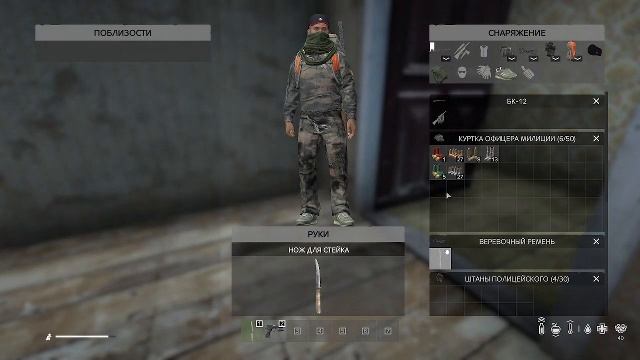 DayZ — многопользовательская компьютерная игра в жанре симулятора выживания с открытым миром
