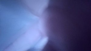 маленькие в мире гигантов.