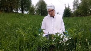 _Мадхурия кадамбини_ введение.