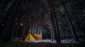 Мистика.  Поход в тайгу. Страшная история.